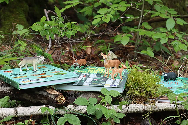 Das Bild zeigt eine Waldszene mit Ästen, Moos und Blättern. In der Mitte liegen zwei Kinderbücher zum Thema Wald und Natur. Auf den Büchern sind Tierfiguren platziert, die im heimischen Wald vorkommen, zum Beispiel Fuchs und Reh.