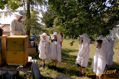 Ferienspiel der Marktgemeinde Gaweinstal: Ein Imker zeigt Kindern einige Bienenstöcke. Sie tragen alle weiße Imkerschutzkleidung