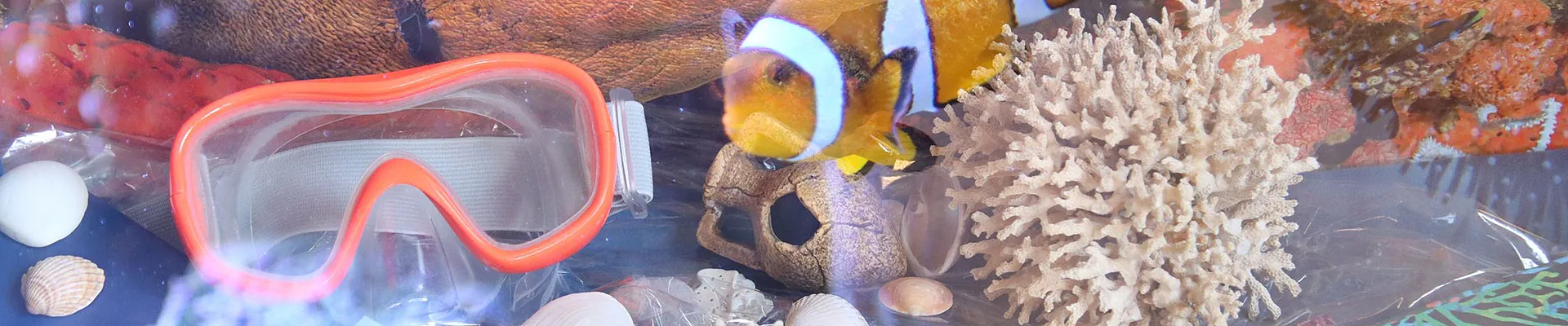 Unterwasserbild - zu sehen ist ein orangener Fisch, eine Taucherbrille, ein Buch und Muscheln