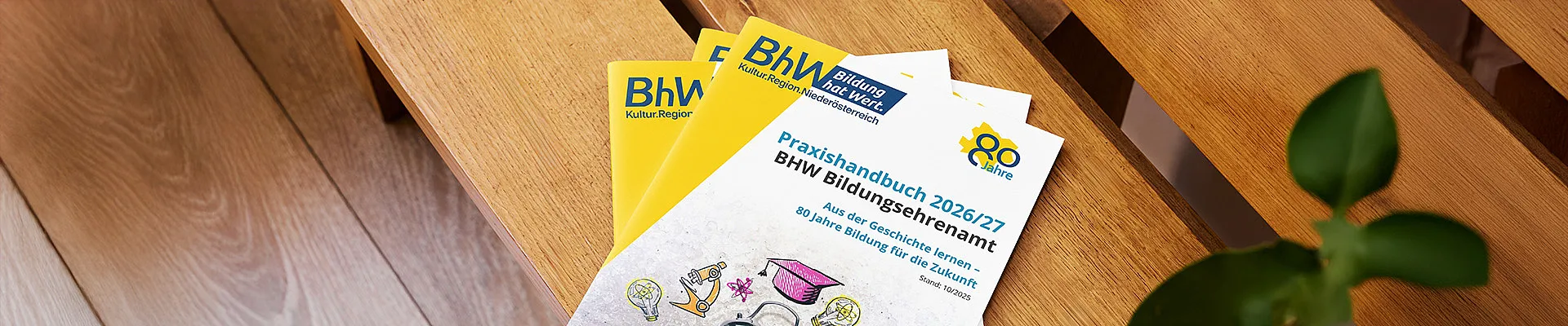 Das Bild zeigt aus der Vogelperspektive den Ausschnitt einer Holzbank. Auf dieser liegen mehrere Exemplare des neuen Praxishandbuchs Bildungsehrenamt.