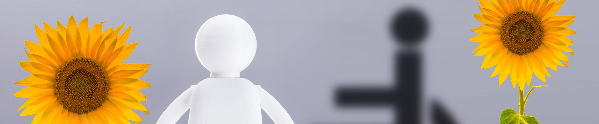Eine weiße Figur mit einem schwarzen Rollstuhl-Piktogramm im Hintergrund. Daneben, zwei Sonnenblumen als Symbol für nicht sichtbare Behinderungen.