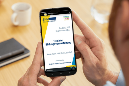Ein Mensch sieht auf sein Smartphone auf dem eine Grafik der Bidaba ist